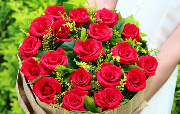 三朵玫瑰的象征意义（揭示玫瑰的情感）