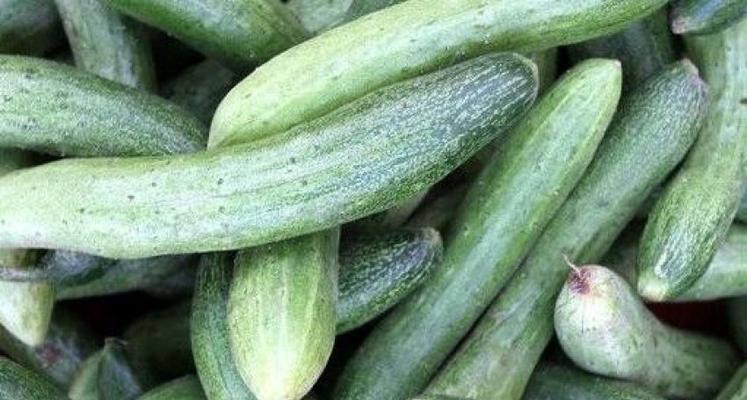 如何挑选好吃的黄瓜？挑选黄瓜的技巧有哪些？