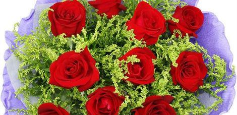 玫瑰花朵数的象征意义（探寻玫瑰花朵数的内涵与传达的情感）