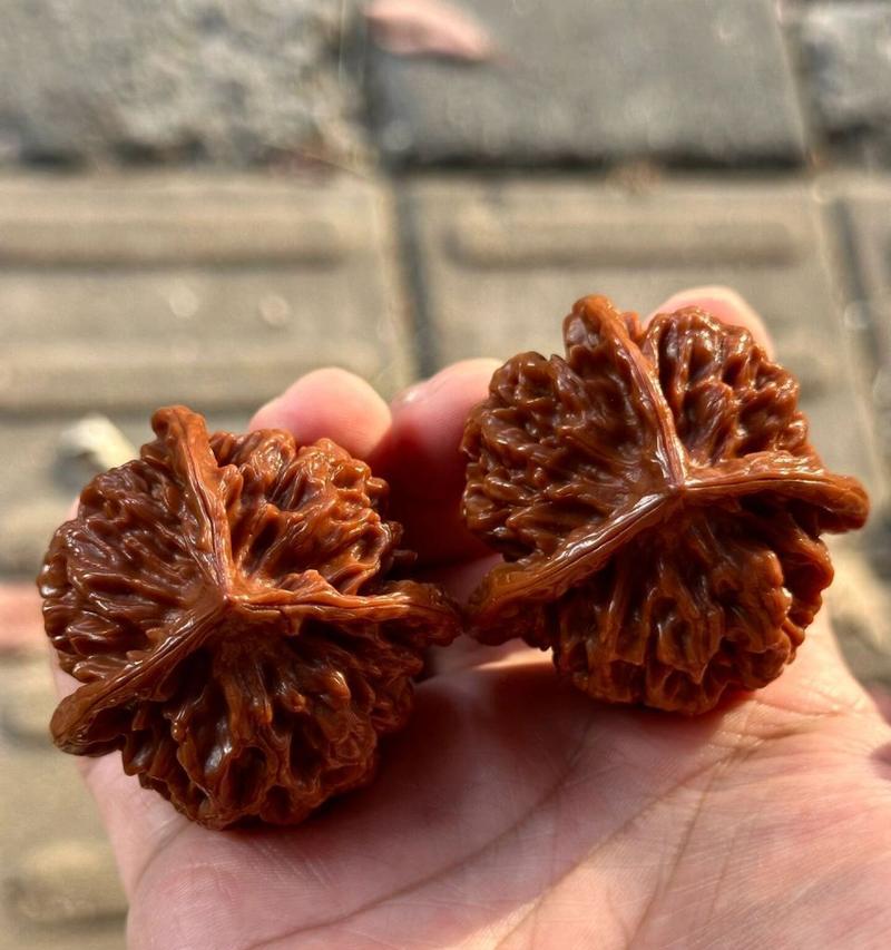 三棱核桃哪个品种最好？如何挑选优质三棱核桃？