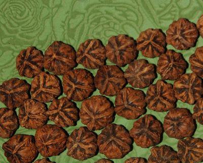 三棱核桃哪个品种最好？如何挑选优质三棱核桃？