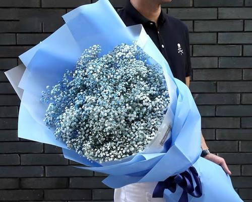 蓝色满天星（蓝色满天星的花语和象征意义）