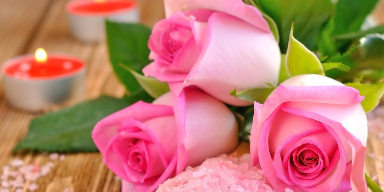 探索玫瑰花的品种和含义（了解玫瑰花的丰富多样性及象征意义）