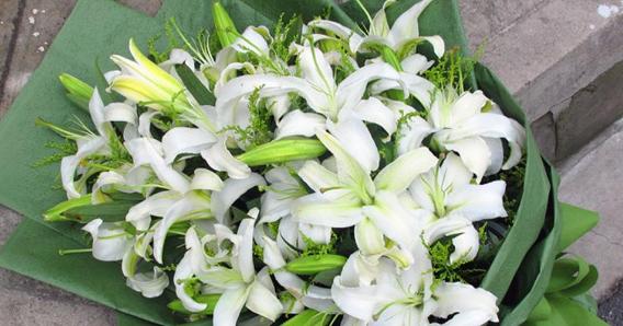 百合花的花语及文化意义（探寻百合花的深层含义与象征）