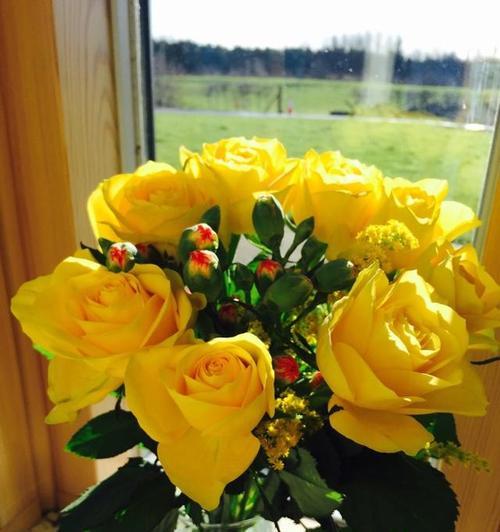 花开奋斗，繁华绽放（奋斗的花有哪些）