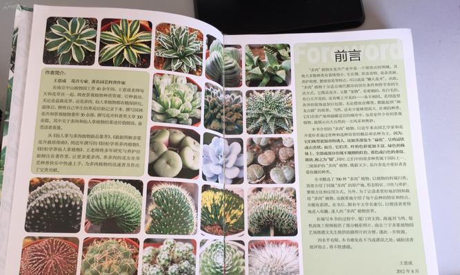 无尽夏怎么养殖方法？有哪些注意事项？