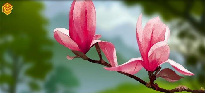 紫玉兰——秀雅坚韧之花（以紫玉兰花的寓意诠释坚韧与美丽）