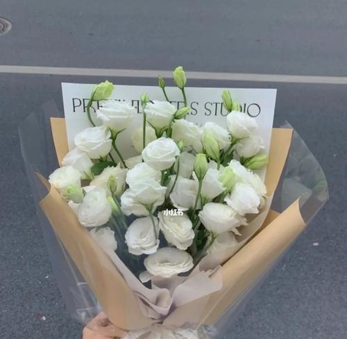 洋桔梗花语与寓意（传递清纯与祝福的白色洋桔梗）