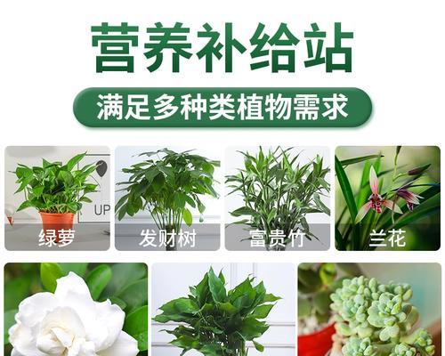 绿萝用什么肥料最好?如何正确施肥促进绿萝生长? 绿萝用什么肥料最好?如何正确施肥促进绿萝生长?