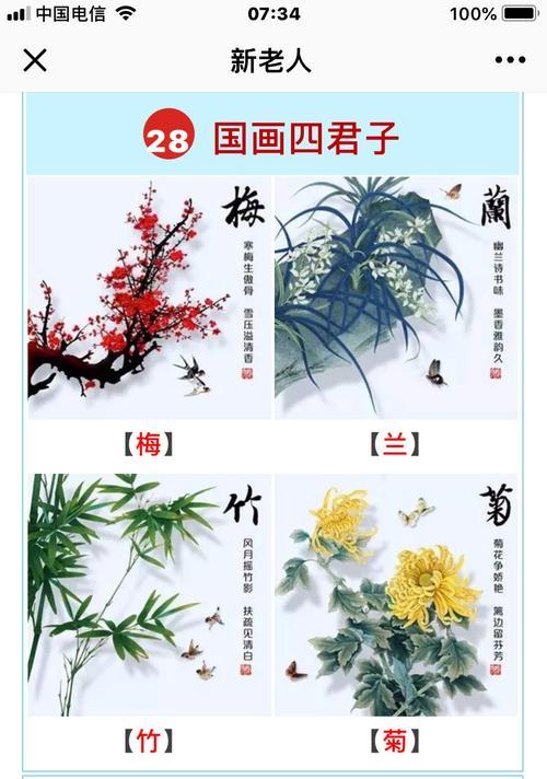 莲藕的象征与风水意义（深入探究莲藕的寓意）