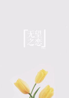 传承文化之美，探寻夏菊花语的魅力（北京夏菊）