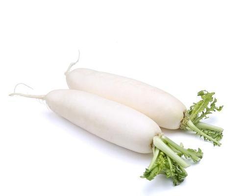 萝卜种植时温度影响大吗？如何正确控制环境温度？