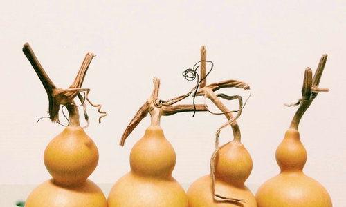 葫芦的寓意与风水作用(探寻葫芦的象征寓意与风水奥秘) 葫芦的寓意与风水作用(探寻葫芦的象征寓意与风水奥秘)