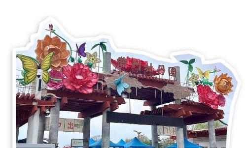 黑槐树剪枝的最佳时机是什么时候？剪枝后需要注意什么？