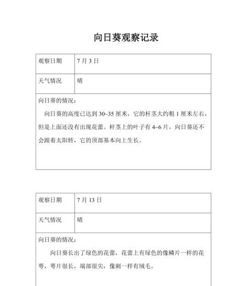 向日葵的生长速度有多快？一年能长多高？