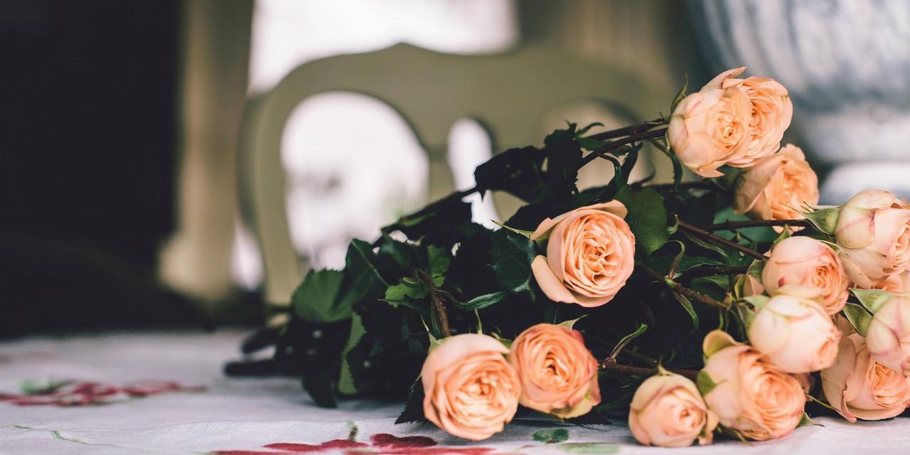 玫瑰在西方文化中的寓意及影响(探索玫瑰花的多重象征与文化价值)