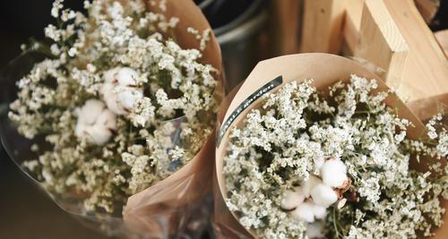 满天星花语——一束星光中的情感寄托（用星辰之语）