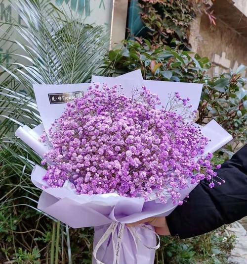 满天星花语——一束星光中的情感寄托（用星辰之语）