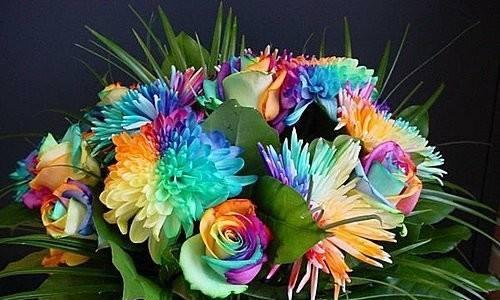 以向日葵为主题的花语——快乐之花（阳光、希望与快乐的象征）