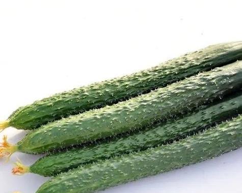 如何挑选好吃的茄子？挑选茄子的技巧有哪些？