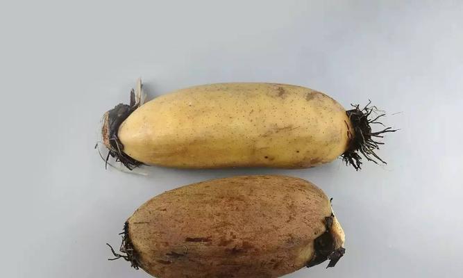 莲藕在风水中代表什么？如何利用莲藕提升家居风水？