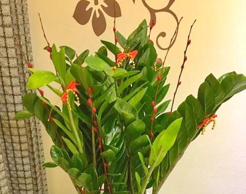 百合花的象征意义与风水作用（揭秘百合花的寓意与影响）