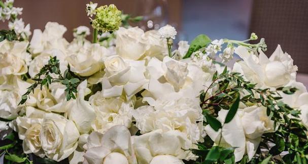 解读玫瑰花语颜色的隐含含义（玫瑰花语颜色代表什么？了解不同颜色的玫瑰所传递的情感与意义）