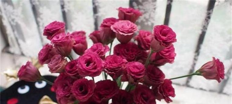 热烈的爱之花（探寻玫瑰花所代表的热烈爱情的含义与象征）