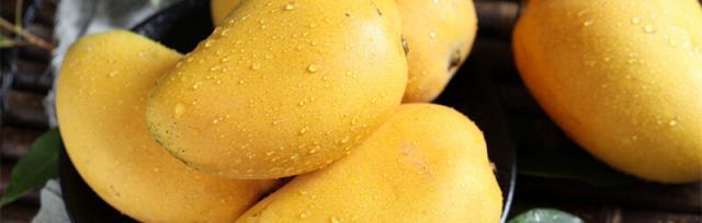 以芒果代表生肖，探索神秘的命运（揭开芒果在十二生肖中隐藏的象征）