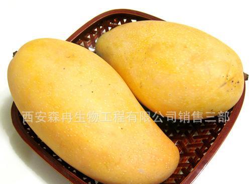 以芒果代表生肖，探索神秘的命运（揭开芒果在十二生肖中隐藏的象征）