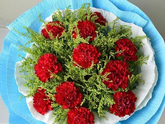 康乃馨花语的深意(用19朵康乃馨传递的情感之旅)