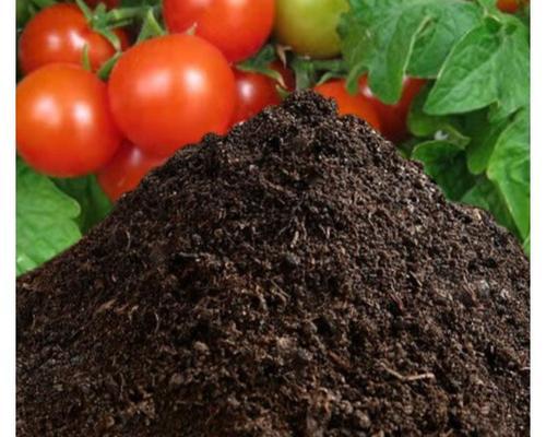 番茄种植土壤选择指南？如何确保土壤质量满足番茄生长需求？