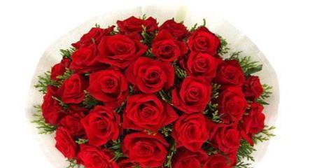 33朵红玫瑰的花语（浓情蜜意）