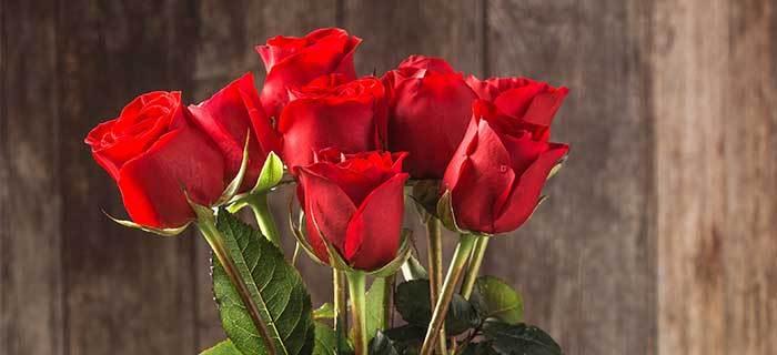 玫瑰花朵数的象征意义（揭开玫瑰花朵数的神秘面纱）