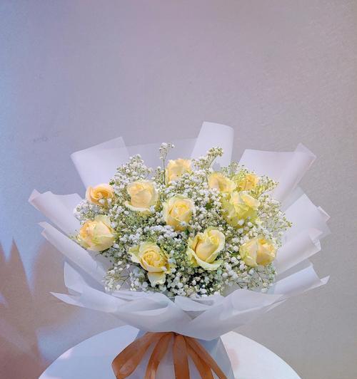 香槟色玫瑰朵数的象征意义（玫瑰的花语与香槟色玫瑰朵数的隐含意义）