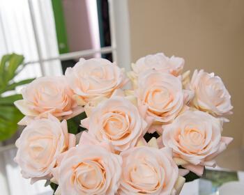 香槟色玫瑰朵数的象征意义（玫瑰的花语与香槟色玫瑰朵数的隐含意义）