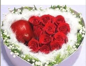 十一朵玫瑰花语的深刻含义（揭示情感）