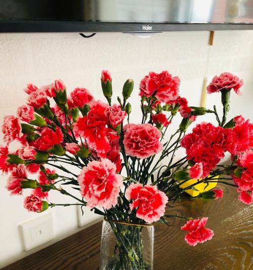 康乃馨的含义与象征——用鲜花传递感恩与爱（浪漫花卉中的情感承载者）