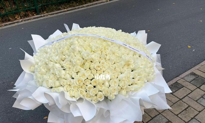 送白玫瑰的寓意是什么（探究白玫瑰在送礼中的象征意义）