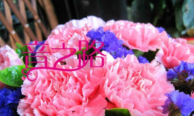 婆婆生日送什么花好？如何选择适合的花卉表达祝福？