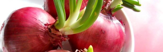 洋葱出现苦味还能食用吗？如何处理苦味洋葱？