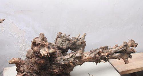 崖柏是什么树长什么样子？如何识别真正的崖柏？