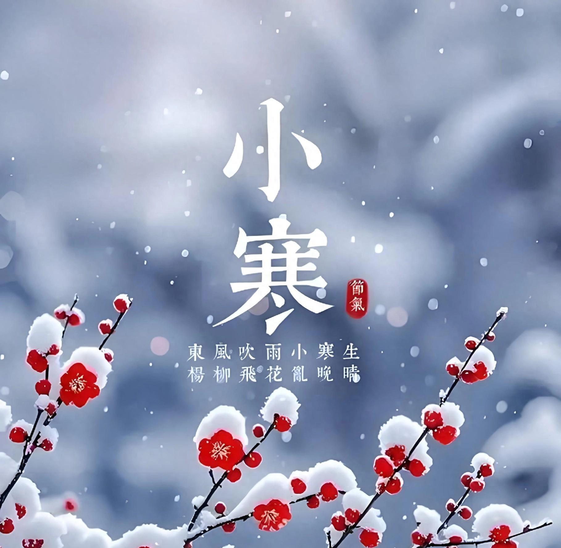 小寒来临，南方北方还能种啥菜？这6种耐寒蔬菜别错过！