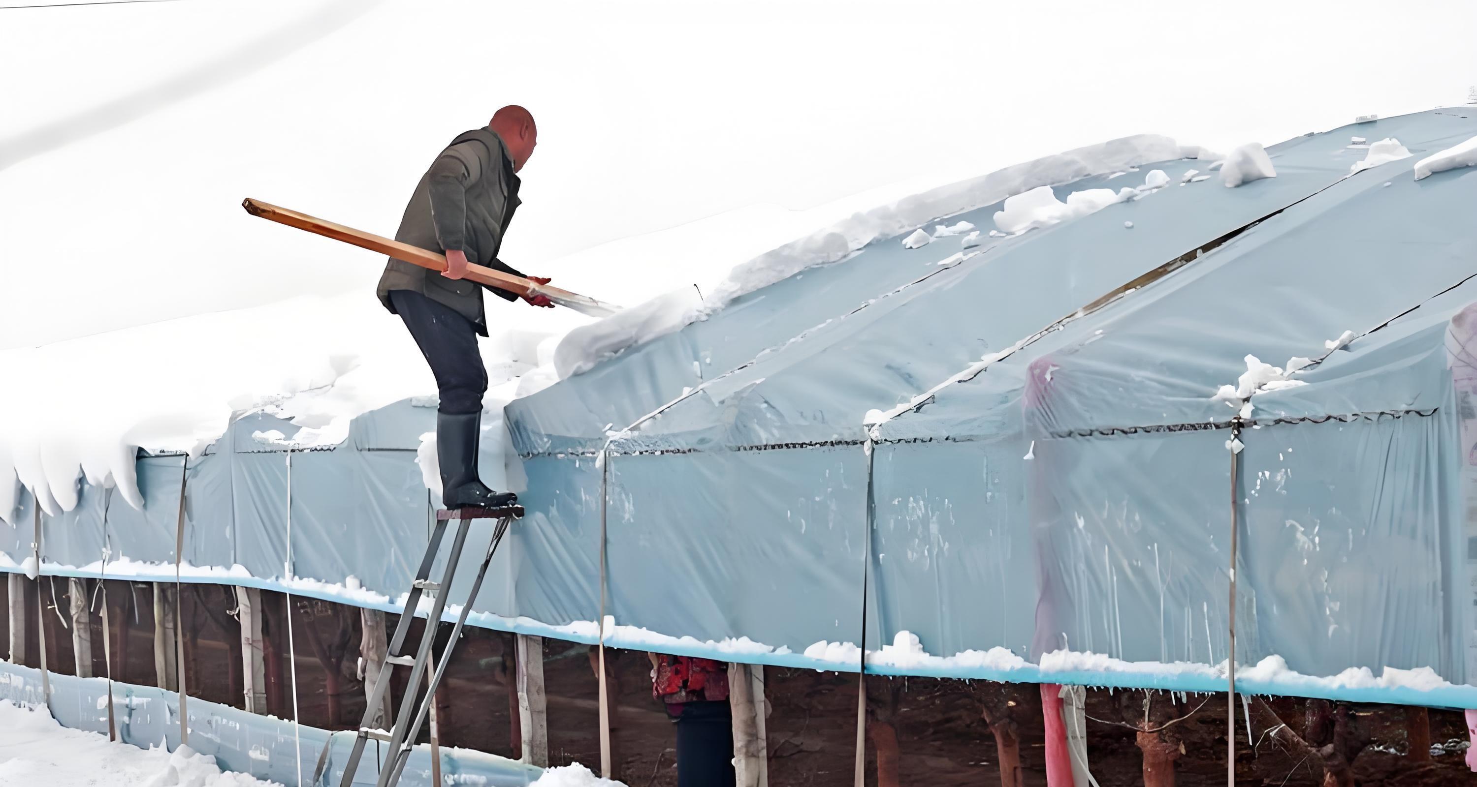 小寒来临，南方北方还能种啥菜？这6种耐寒蔬菜别错过！