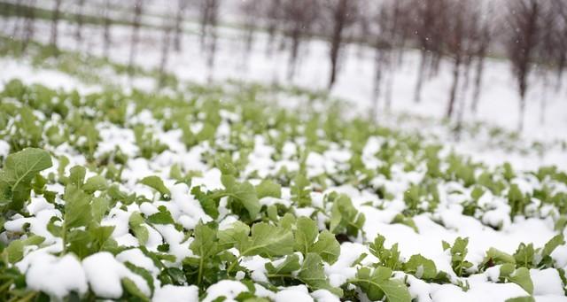 本轮雨雪“靶心”明确！1月4日起，全国多地雨雪接力登场