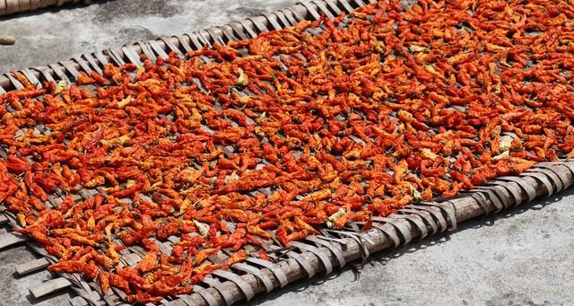 除虫剂：自制“万能除虫水”，喷一次虫子全跑光，菜园健康无残留