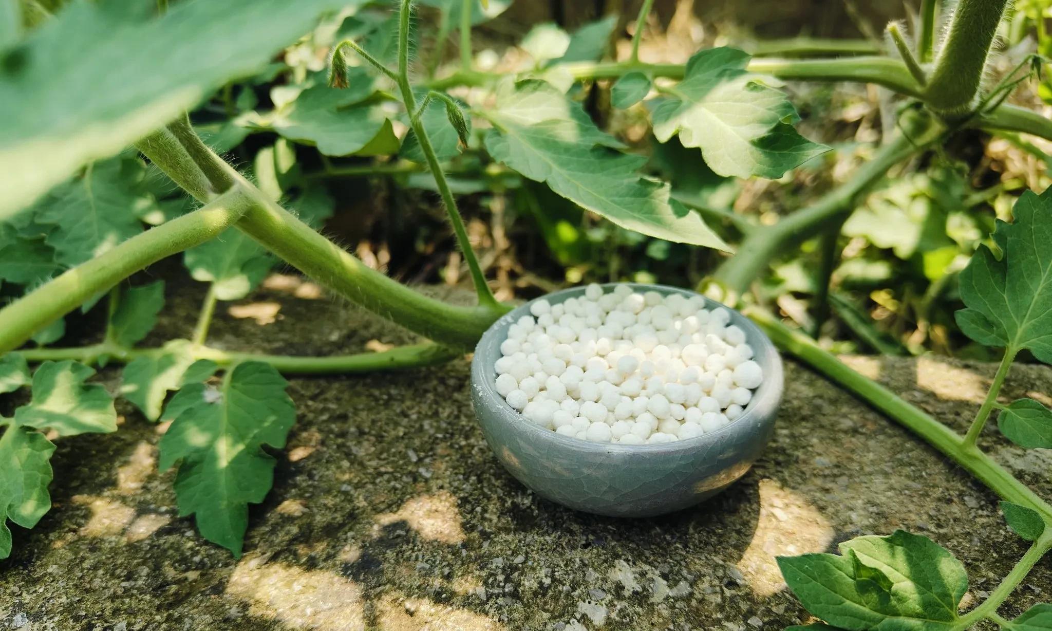 提苗促长用什么肥料好？这5种高氮肥，很多种菜人不知道用