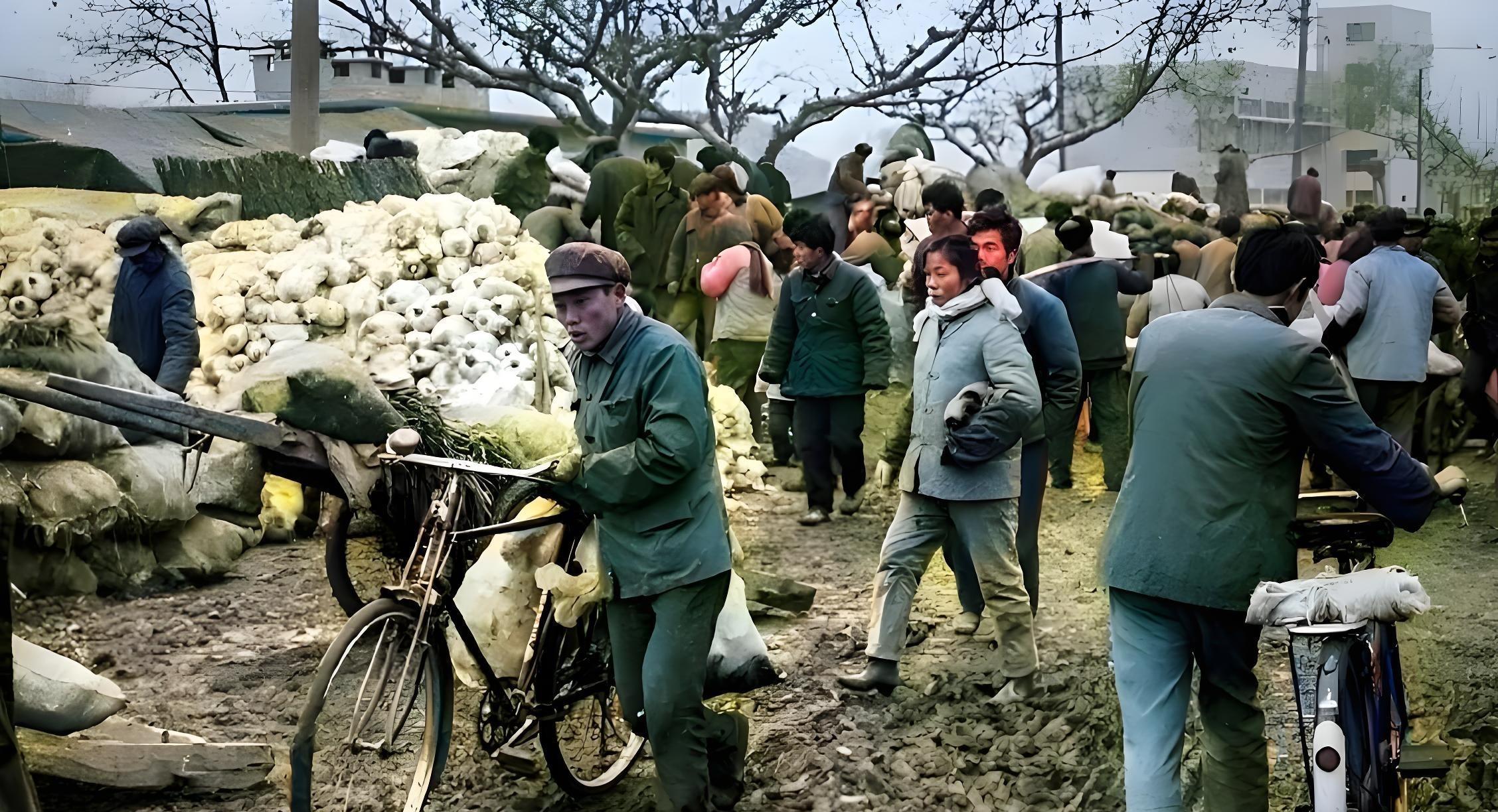 60年代大白菜啥价？2分钱1斤背后，是“菜篮子”的国家大事