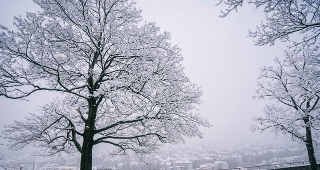 今日冬月十八下雪了！农谚“雪打十八春不旱”，是来年丰收吉兆吗