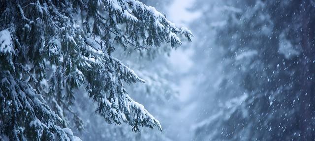 今日进“三九”，今年三九不一般！有三大特点，过年到底冷不冷？